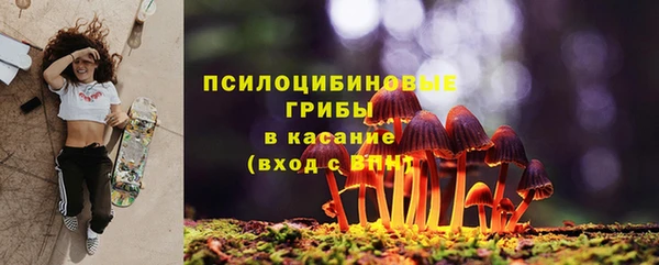 эйфоретик Богородицк