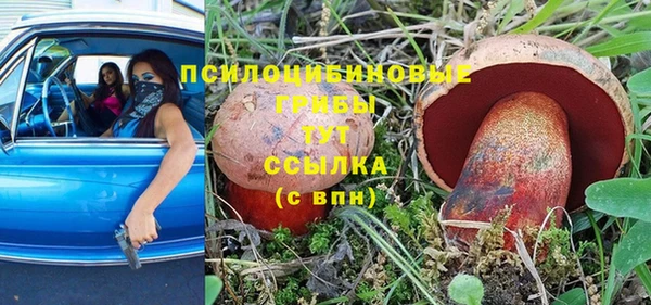 a pvp Богородск